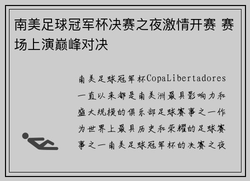 南美足球冠军杯决赛之夜激情开赛 赛场上演巅峰对决